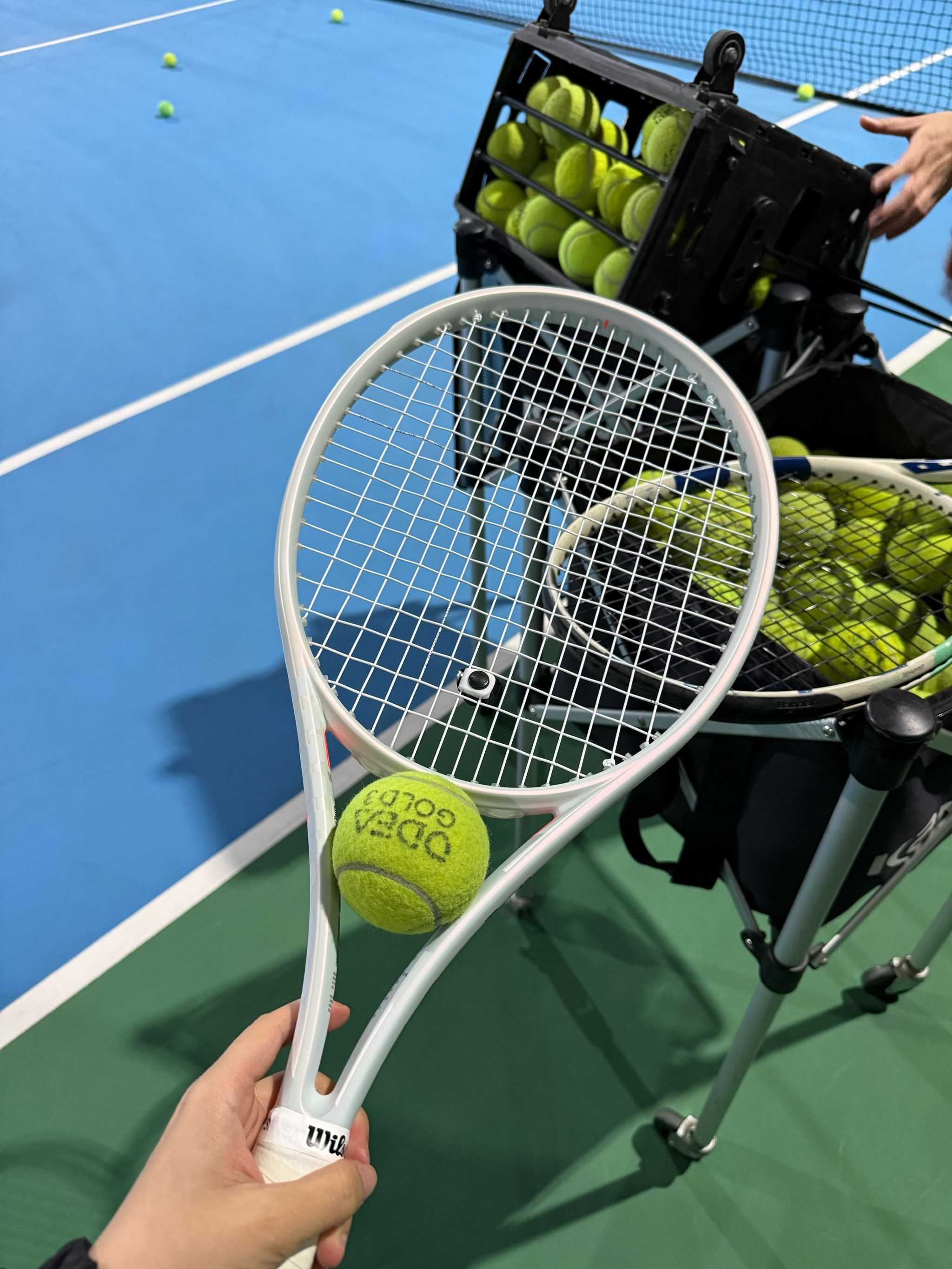 替补球员 替补球员